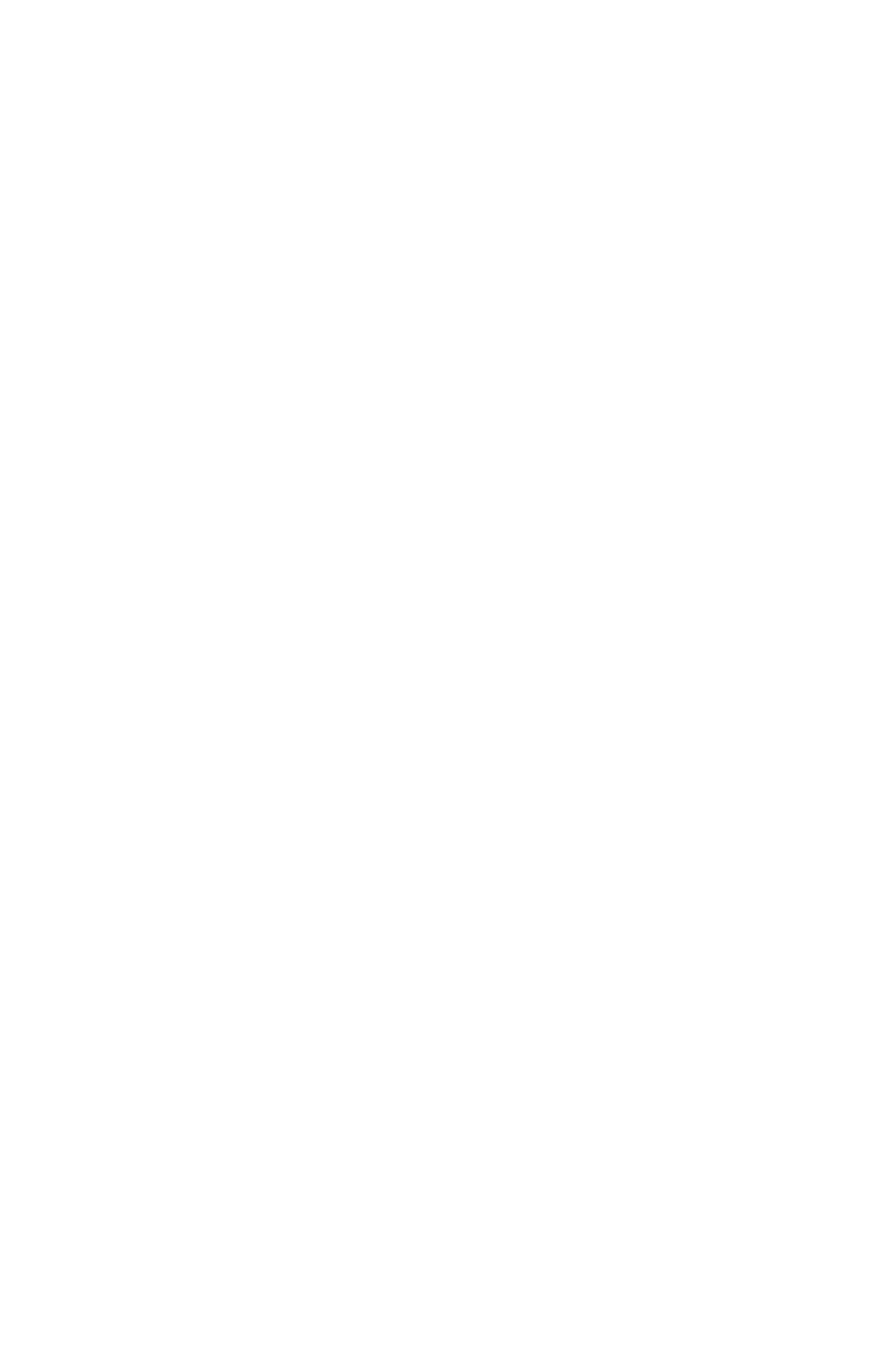 Necklytic Logo